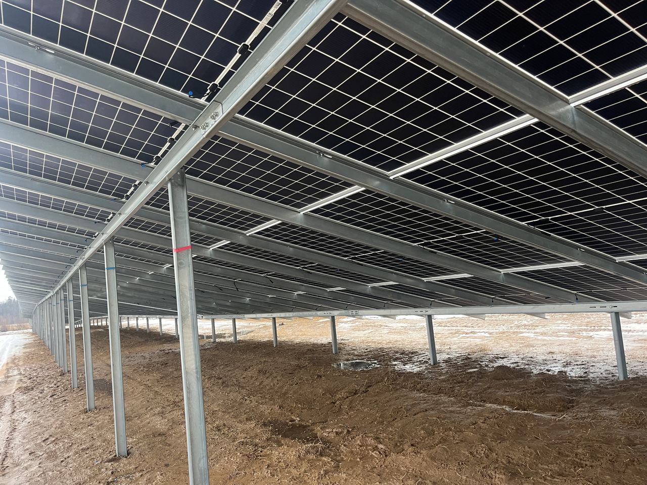 Vaade Stelpe maapargi päikesepaneelide alt, bifacial-paneelide tagakülg ja kandekonstruktsioon