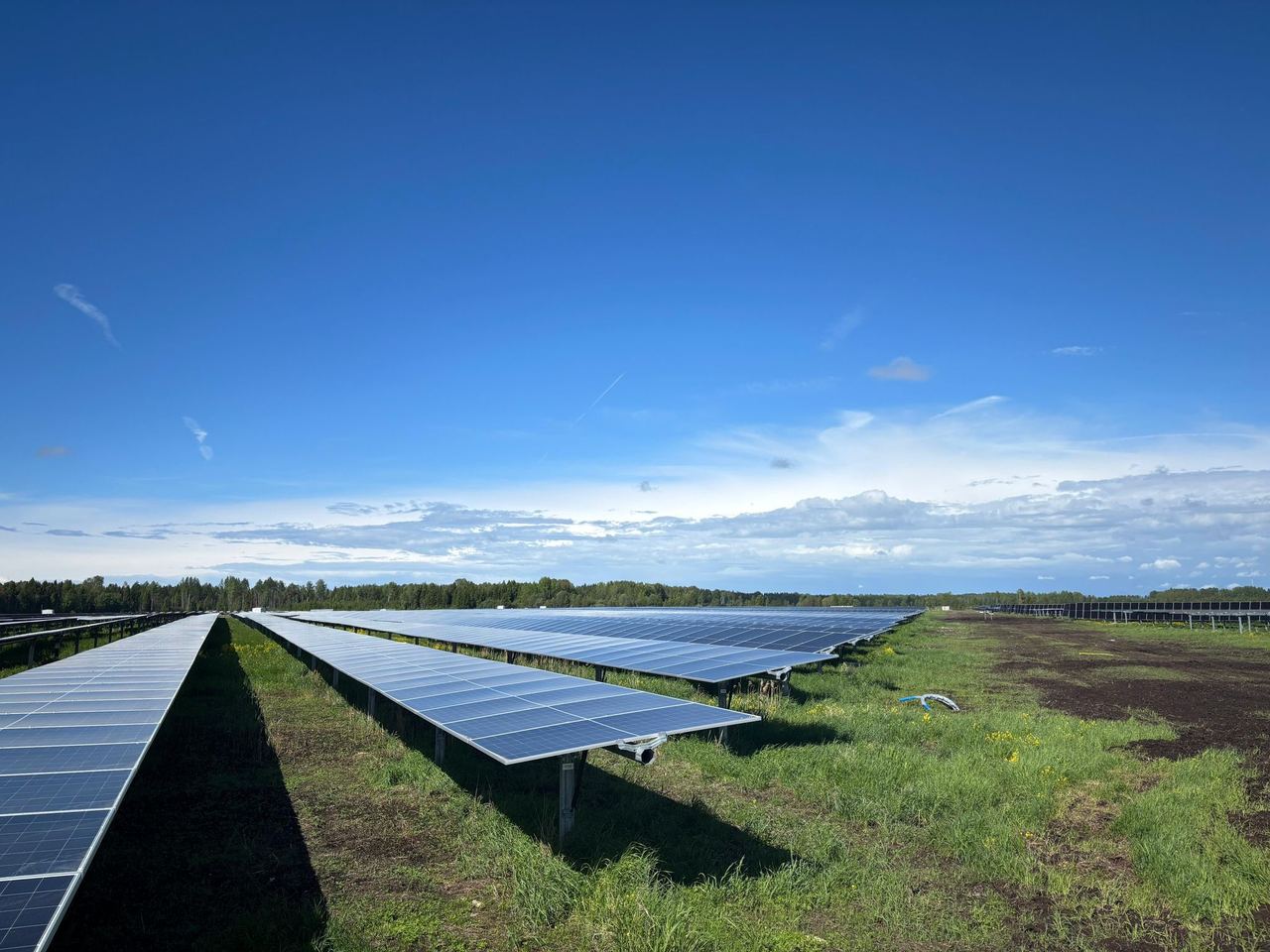 Päikest jälgiv Solar Tracker Park selge taeva all, pikad paneeliread rohelisel väljal
